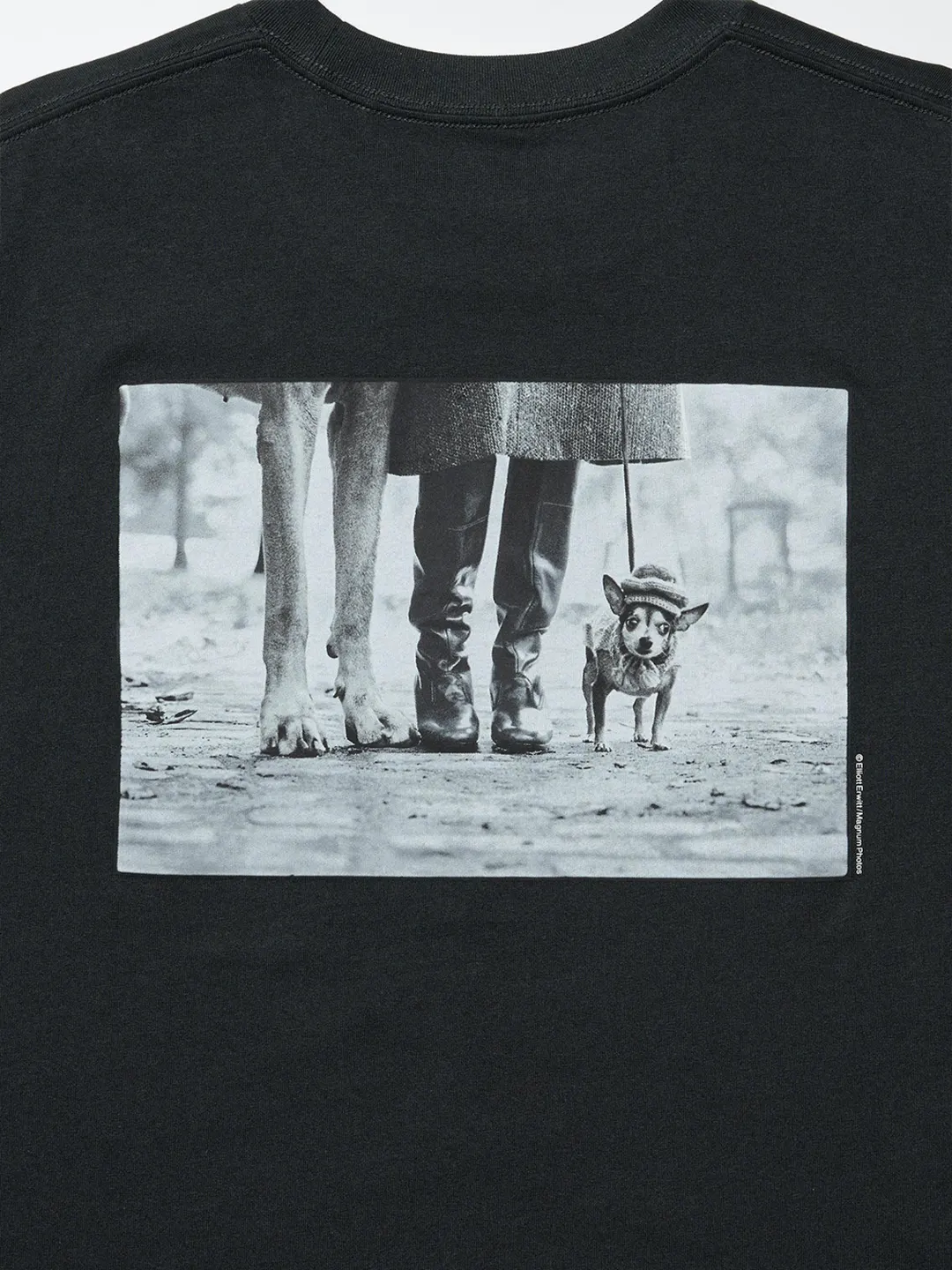 Футболка UT Elliott Erwitt с принтом, Uniqlo