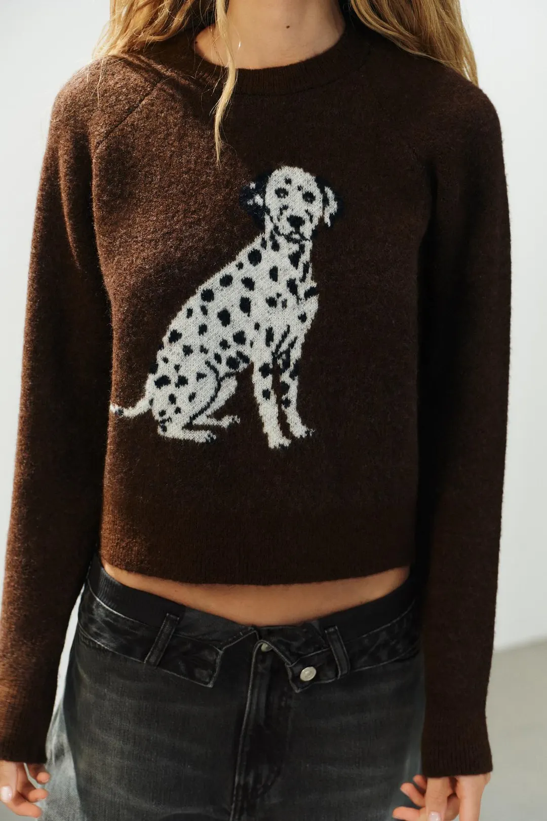 Джемпер с жаккардовым анималистичным узором, Zara